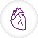 Heart icon